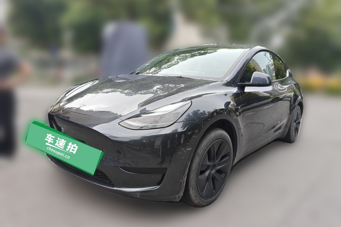 Tesla Model Y 2024 car image 