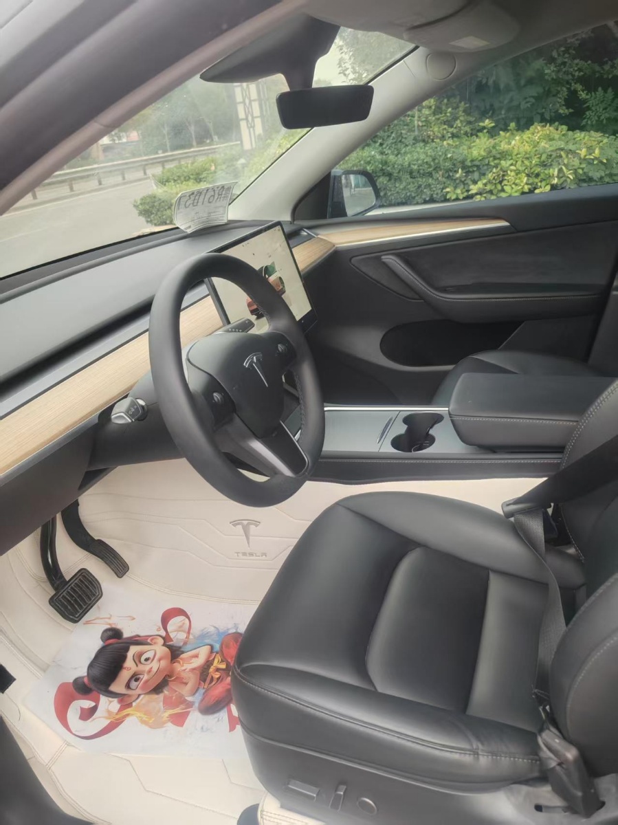 Tesla Model Y 2023 car image #5