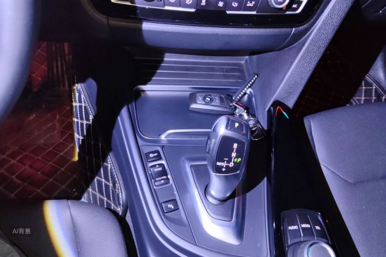 BMW 3 Series 2017 car image #16