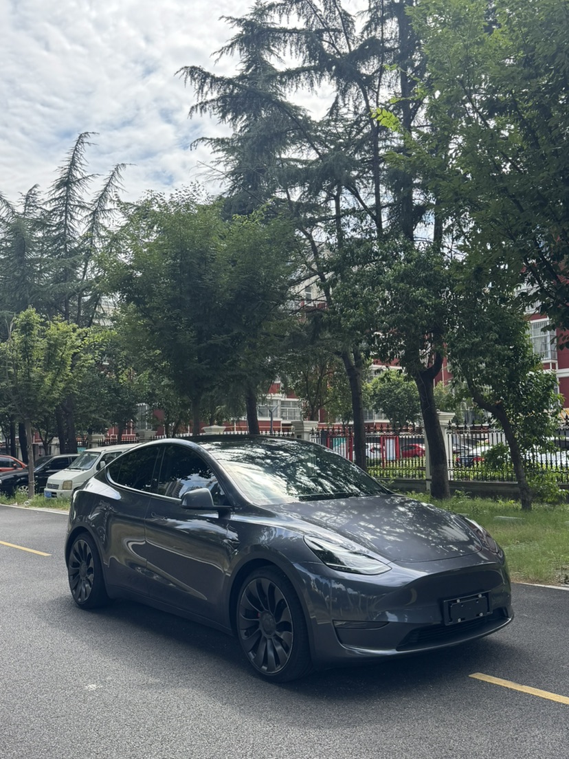 Tesla Model Y 2023 car image #3
