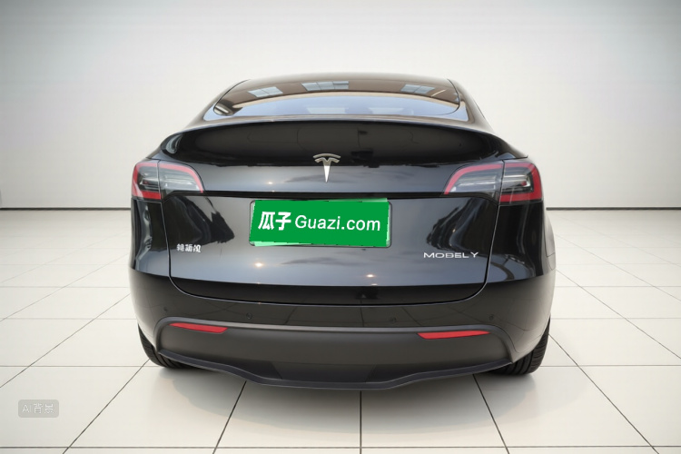 Tesla Model Y 2021 car image #6