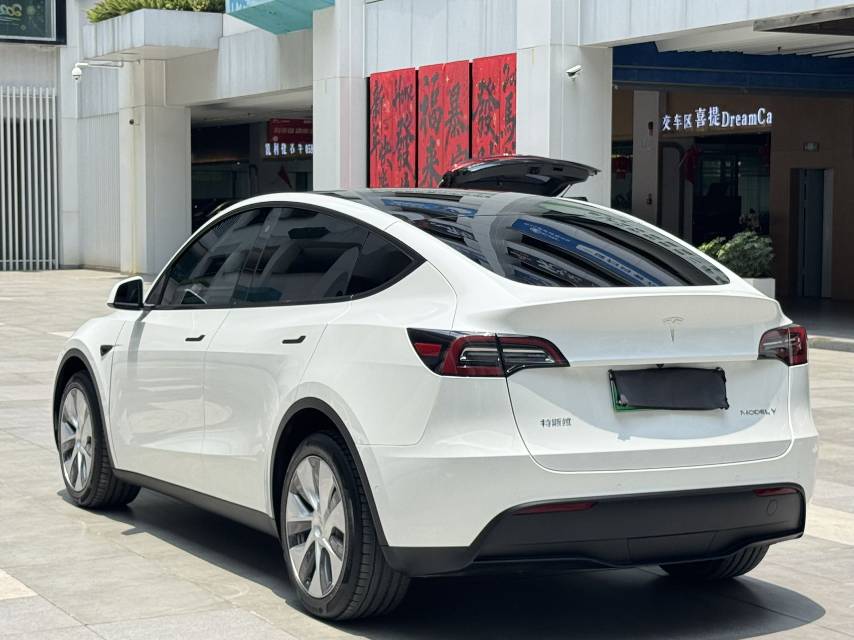 Tesla Model Y 2022 car image #9