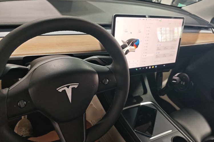 Tesla Model Y 2021 car image #10