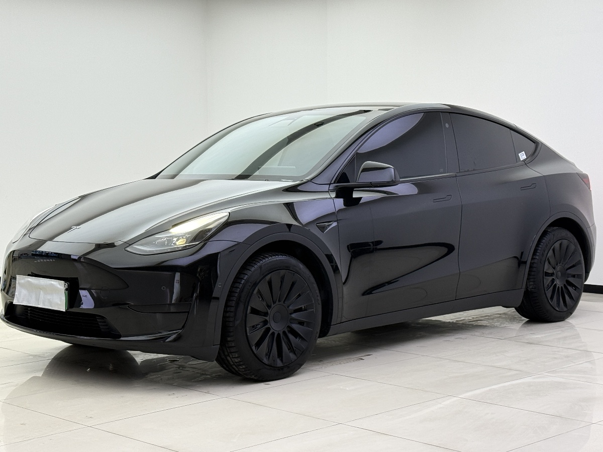 Tesla Model Y 2022 car image 