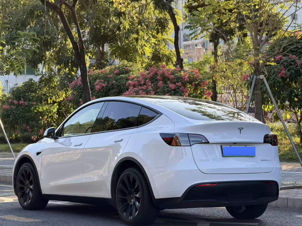 Tesla Model Y 2023 #8 Tesla Model Y 2023 imagem de carro #8