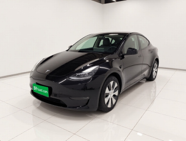 Tesla Model Y 2022 car image 