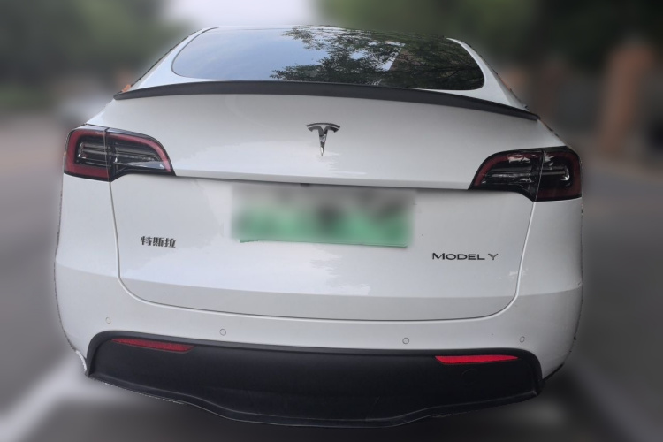 Tesla Model Y 2021 #4 Tesla Model Y 2021 car image #4