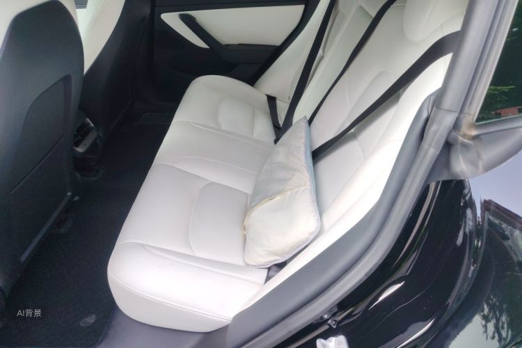 Tesla Model 3 2020 #19 Tesla Model 3 2020 car image #19