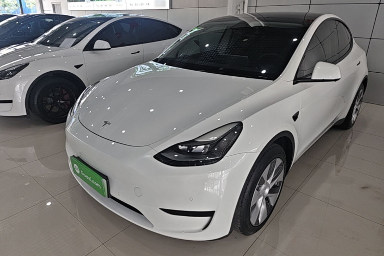 Tesla Model Y 2022 car image #2