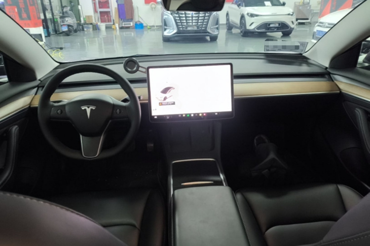 Tesla Model 3 2021 car image #11