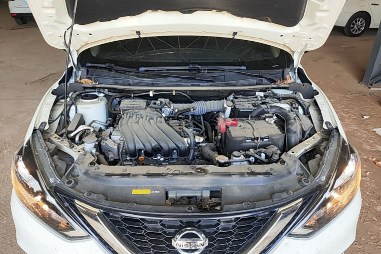 Nissan Sylphy 2024 #20 Nissan Sylphy 2024 car image #20