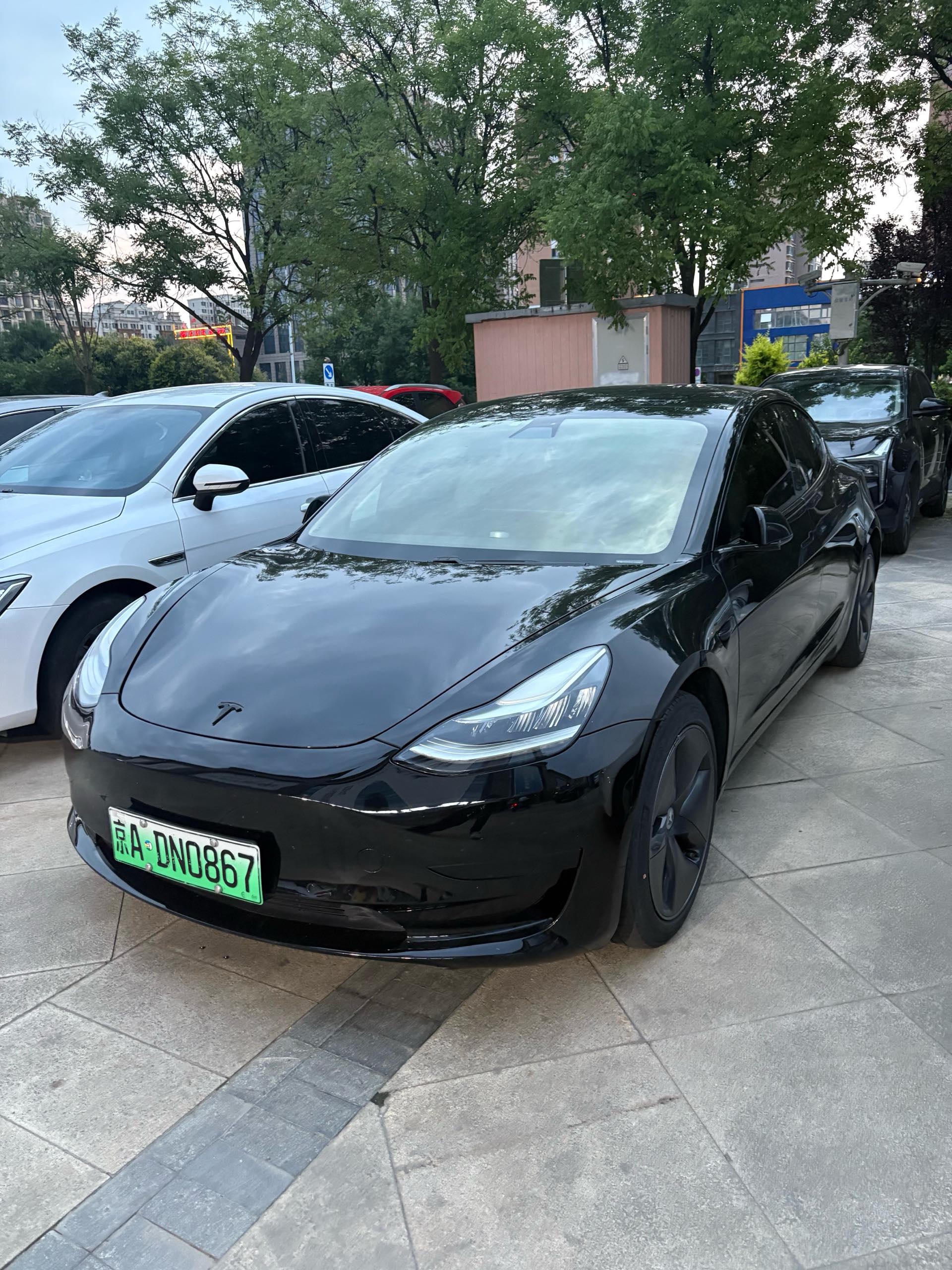 Tesla Model 3 2020 car image 