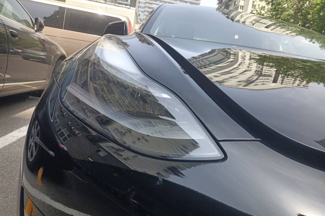 Tesla Model 3 2022 #7 Tesla Model 3 2022 car image #7