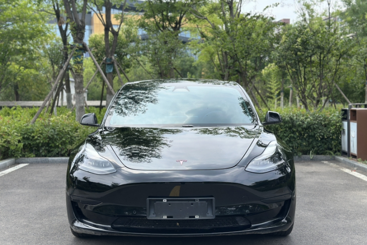Tesla Model 3 2021 #4 Tesla Model 3 2021 car image #4