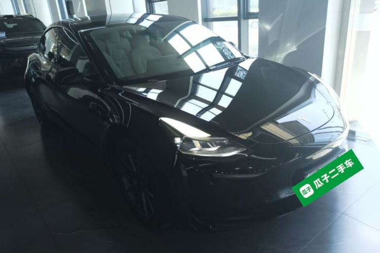 Tesla Model 3 2021 #4 Tesla Model 3 2021 car image #4
