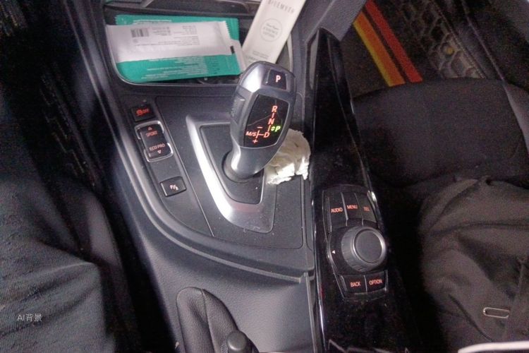 BMW 3 Series 2017 car image #16