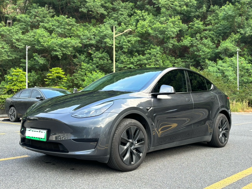 Tesla Model Y 2024 immagine di auto 