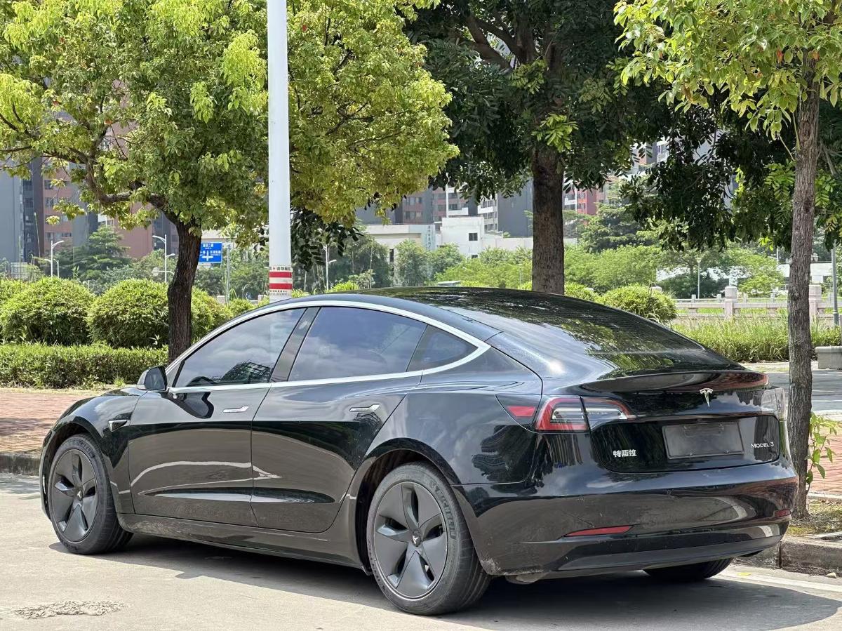 Tesla Model 3 2021 #8 Tesla Model 3 2021 car image #8