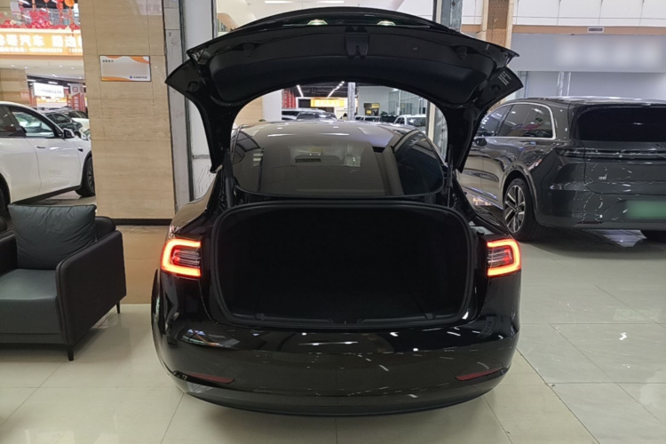 Tesla Model 3 2021 #19 Tesla Model 3 2021 immagine di auto #19