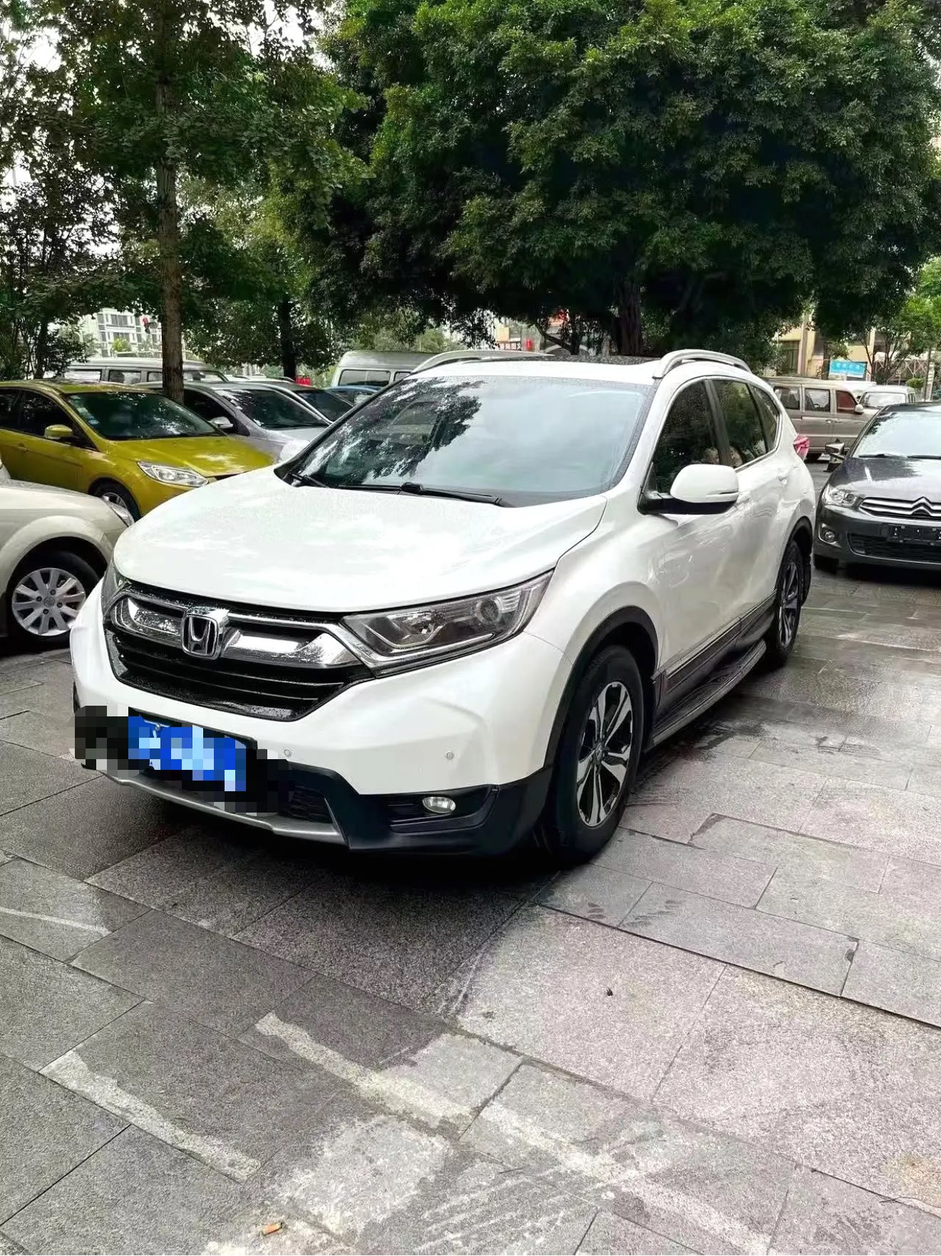 Honda CR-V 2019 car image 