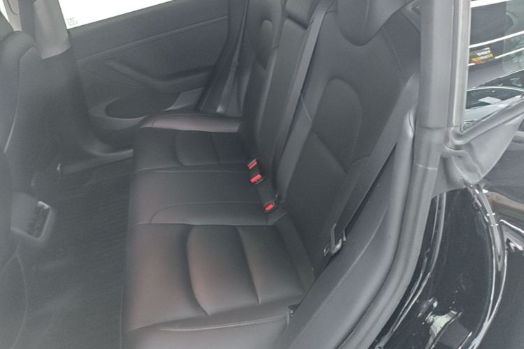 Tesla Model 3 2023 car image #17