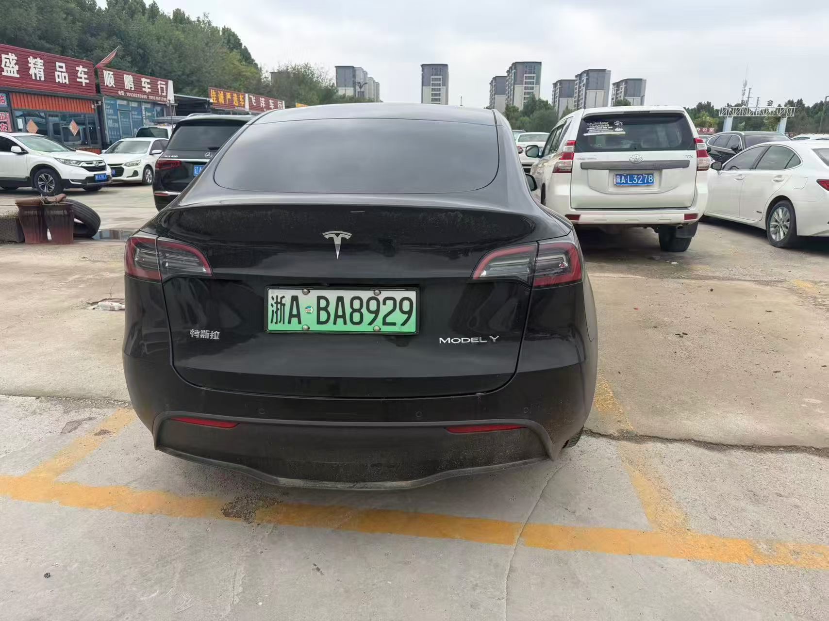 Tesla Model Y 2021 #7 Tesla Model Y 2021 car image #7