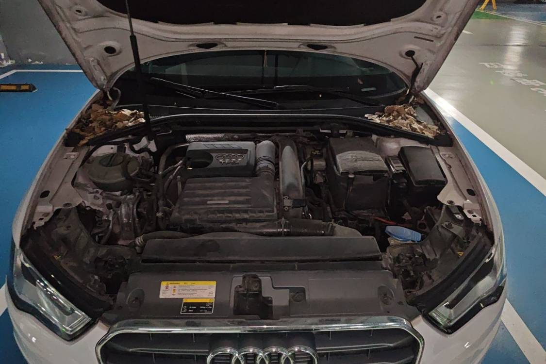 Audi A3 2015 #10 Audi A3 2015 immagine di auto #10