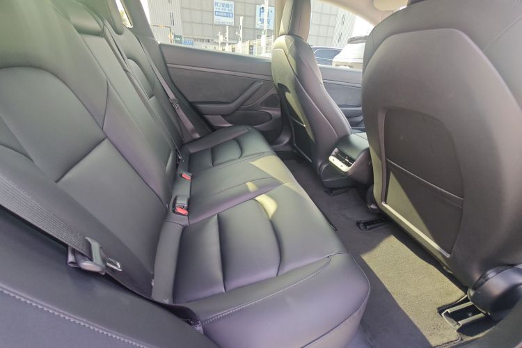 Tesla Model 3 2020 car image #15