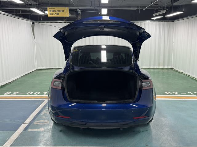 Tesla Model 3 2020 #11 Tesla Model 3 2020 car image #11
