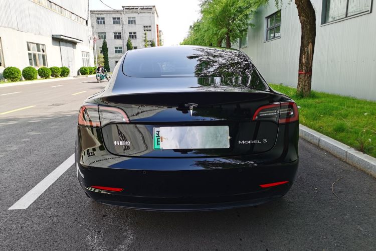 Tesla Model 3 2021 car image #6