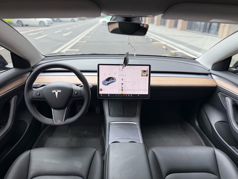 Tesla Model 3 2021 car image #6