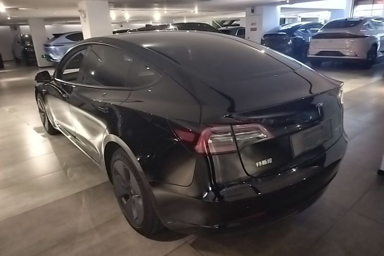 Tesla Model 3 2021 car image #5