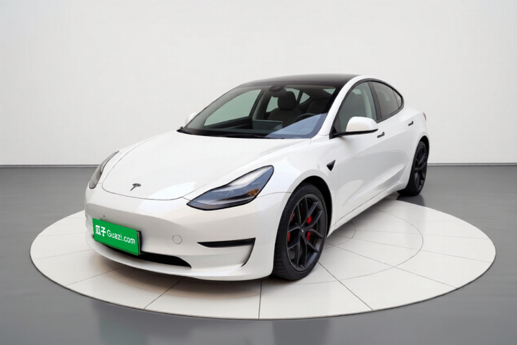 Tesla Model 3 2021 #2 Tesla Model 3 2021 car image #2