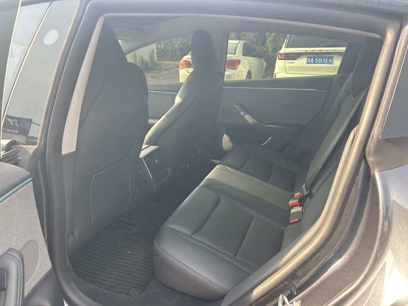 Tesla Model 3 2025 #6 Tesla Model 3 2025 car image #6