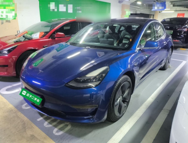Tesla Model 3 2020 Tesla Model 3 2020 car image