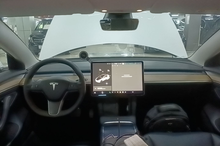 Tesla Model 3 2021 #10 Tesla Model 3 2021 car image #10