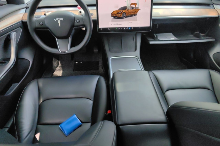 Tesla Model 3 2022 #9 Tesla Model 3 2022 car image #9