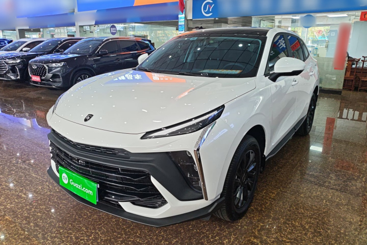 Forthing T5 EVO 2024 immagine di auto #2