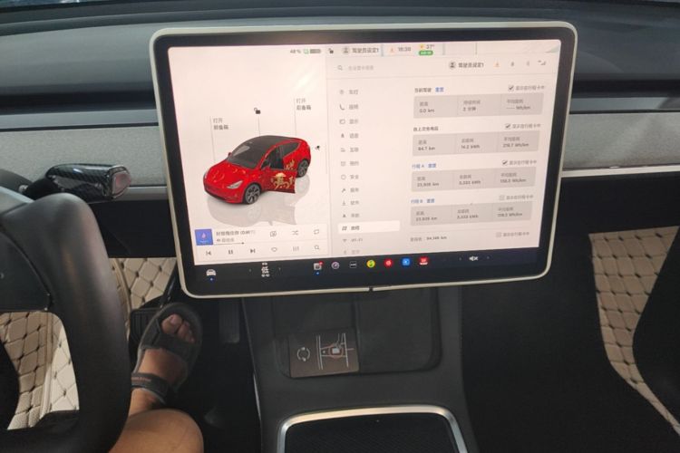 Tesla Model Y 2023 car image #13