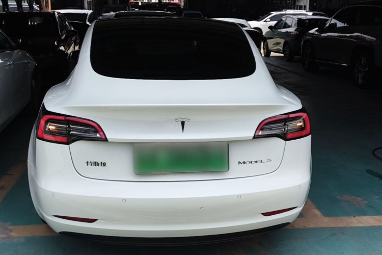 Tesla Model 3 2020 car image #6
