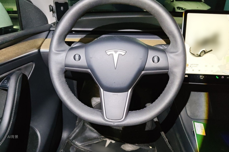 Tesla Model Y 2021 #12 Tesla Model Y 2021 car image #12