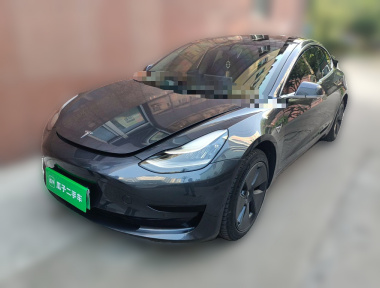 Tesla Model 3 2020 Tesla Model 3 2020 car image