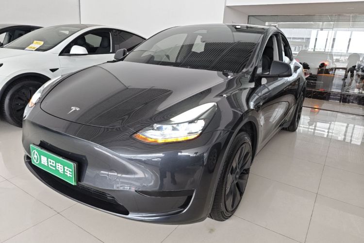 Tesla Model Y 2024 immagine di auto #2