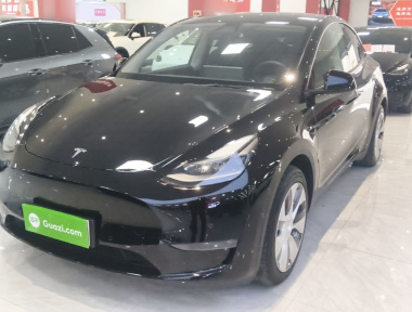 Tesla Model Y 2021 Tesla Model Y 2021 car image