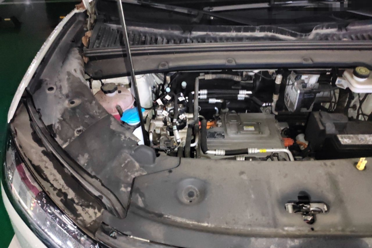 BYD YuanUP 2024 #23 BYD YuanUP 2024 immagine di auto #23