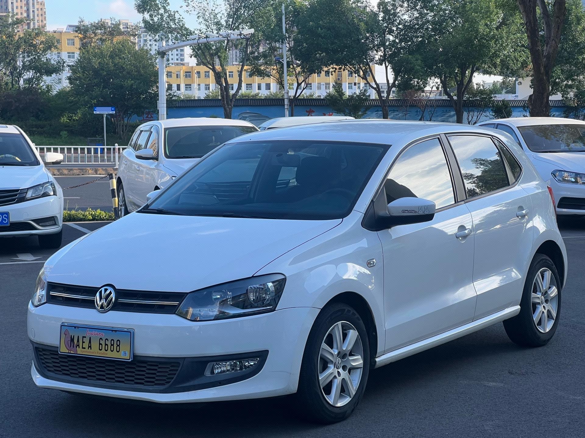 Volkswagen Polo 2014 Volkswagen Polo 2014 car image
