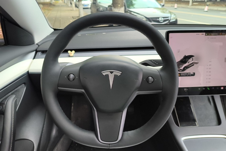 Tesla Model 3 2023 car image #11