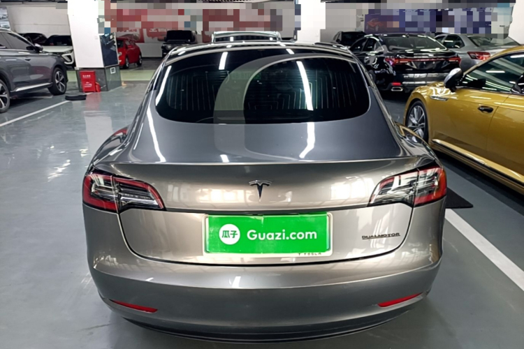 Tesla Model 3 2020 car image #6