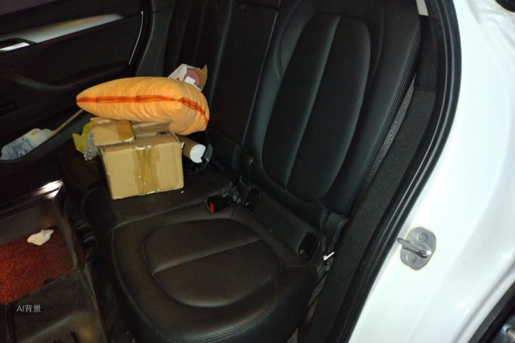 BMW X1 2017 car image #19