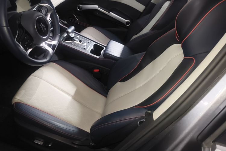 BYD Yuan Plus 2022 car image #15